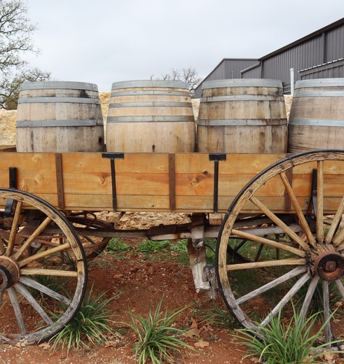 Wijnlandgoederen en wijnproeven rond Fredericksburg, Texas, Amerika