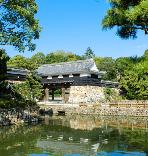 Typisch Japanse gebouwen in het groen bij Kochi, Japan