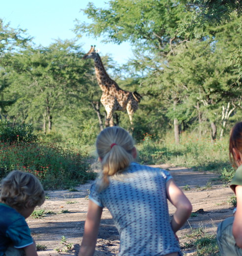 Op safari in Zuid-Afrika