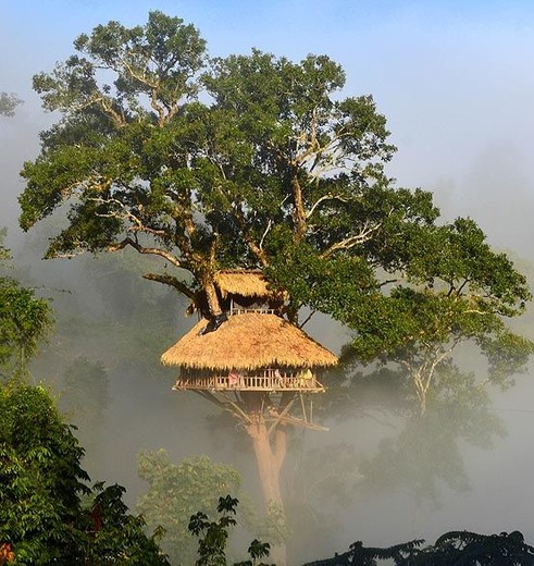 Een heerlijk gevoel om elke ochtend met zo'n uitzicht vanaf uw boomhut wakker te worden in Nam Kan National Park, Laos