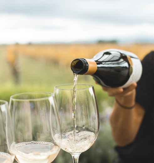 Wijnproeven in Nieuw-Zeeland kan maar al te goed tijdens een wijntour