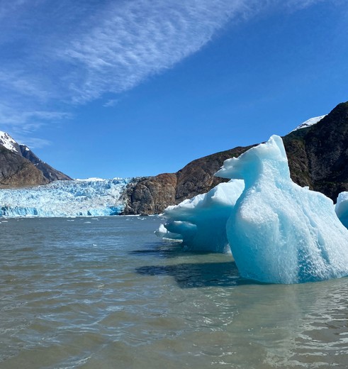 IJsschotsen en gletsjer vanaf je cruiseschip, College Fjord, Alaska