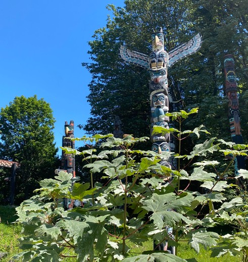 Totempaal in Alaska, Amerika