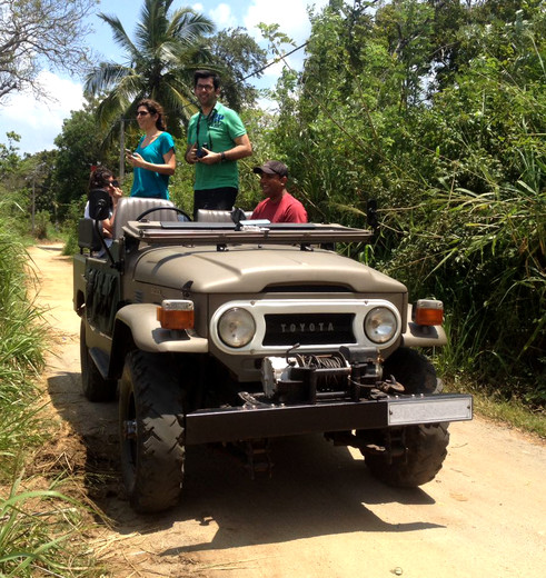 Habarana jeep excursie