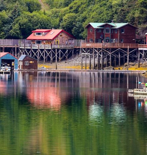 Charmant dorpje Halibut Cove bij Homer, Alask