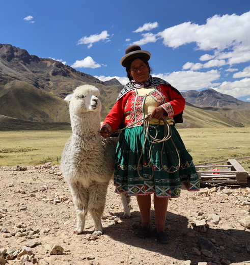 Peruaanse met alpaca