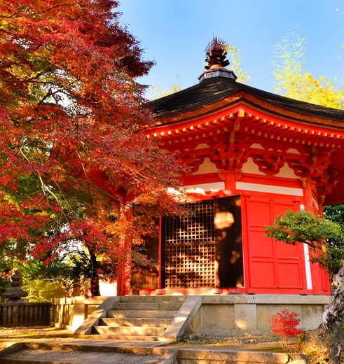 Herfst in Kyoto, Japan