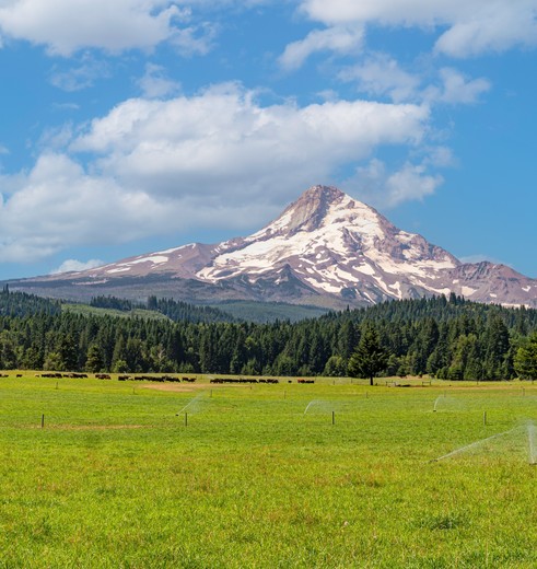 Uitzicht op de Mount Hood, USA