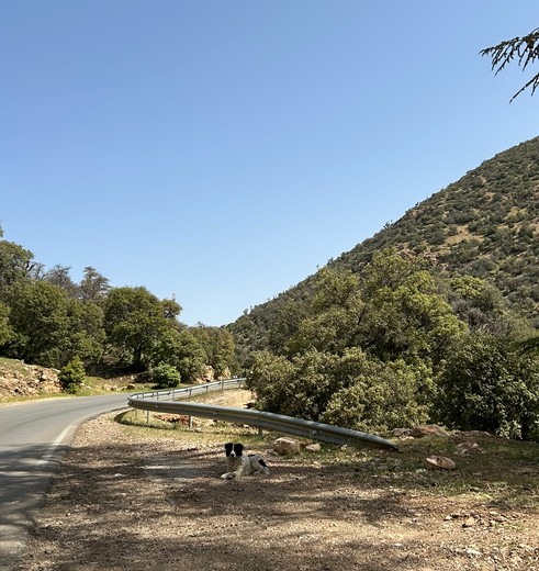 Het is relaxt rijden in Marokko