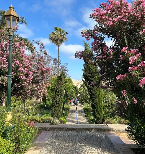 De tuinen in Rabat