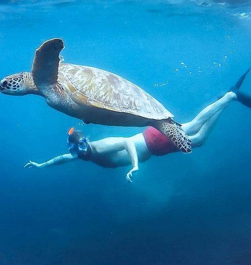 Snorkelen en schildpadden spotten bij de Gili eilanden