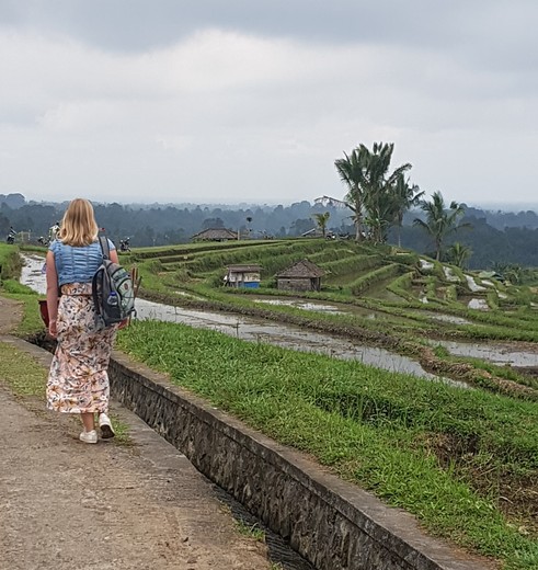 Maak een wandeling langs de rijstvelden van Jatiluwih, Bali, Indonesië