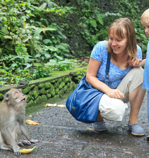 Apen in Ubud op Bali