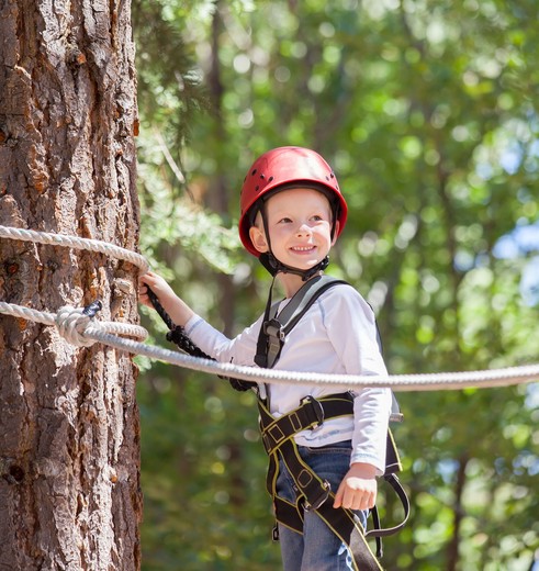 Indonesie-Bali-indeboomtoppen2_1