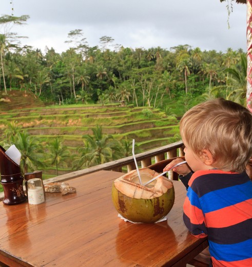 Indonesie-Bali-jongenkijktuitoprijstvelden6_1