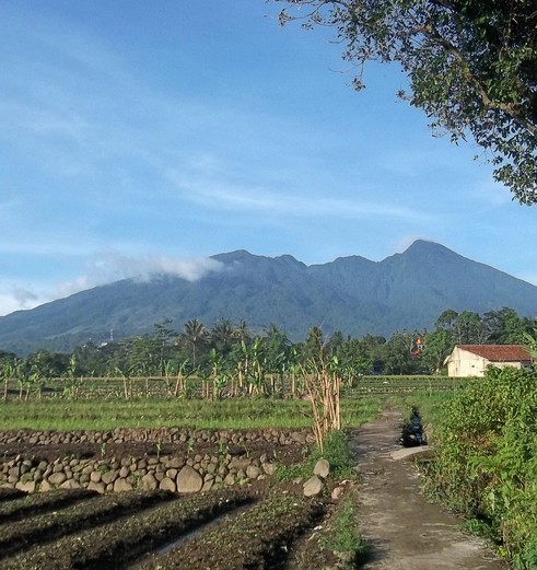 Indonesie-Java-Bogor-Mount-Salak