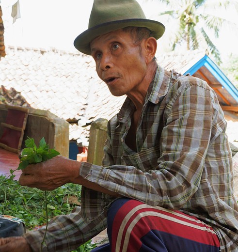 Indonesie-Java-becakman