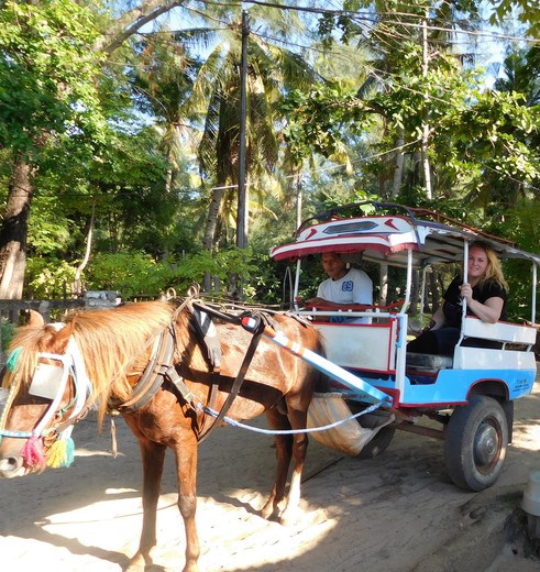 Indonesie-Lombok-GiliMeno-paardenwagen_3_287489