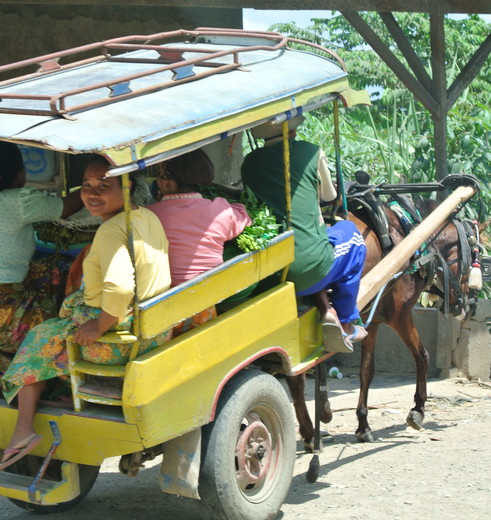 Indonesie-Lombok-binnenland-dokar(8)