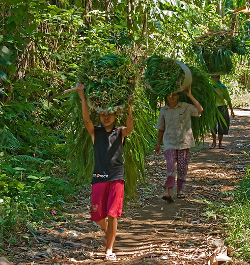 Indonesie-Lombok-binnenland-sjouwen