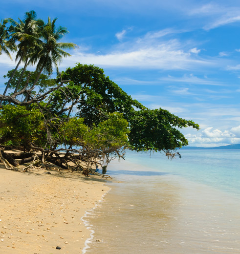 Indonesie-Sulawesi-Bunaken-Strand_2_249073