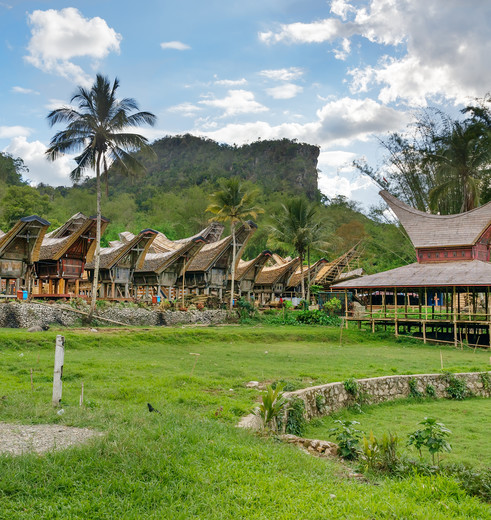 Traditionele zadeldak tongkonan in Torajaland, Sulawesi, Indonesië