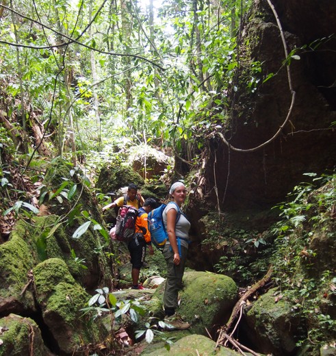 Trekking door de jungle van de Harauvallei op Sumatra, Indonesië