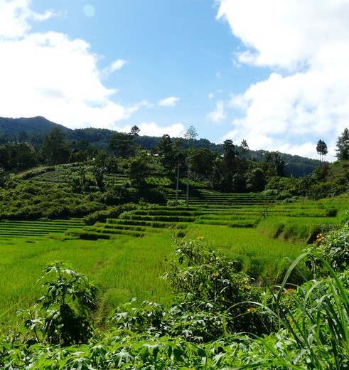 Indonesie-Sumatra-Tobameer-Sipirok-onderweg_2_198219