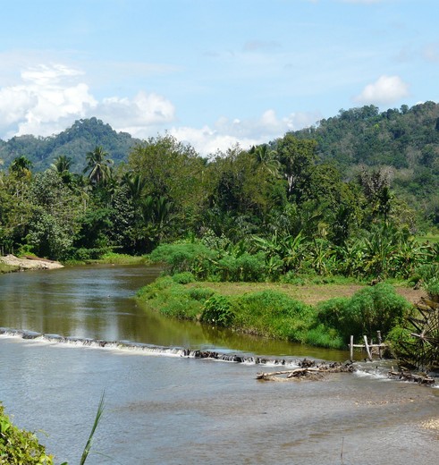 Indonesie-Sumatra-bangko-kerinci2