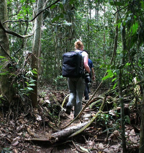 Indonesie-Sumatra-bukit-lawang-trek
