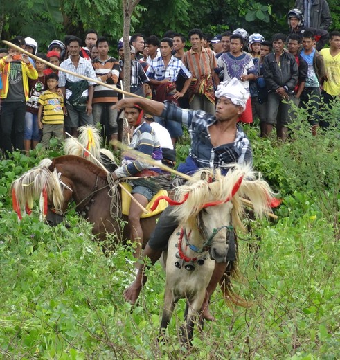 Indonesie-Sumba-Waikabubak-pasola-6e9db016_2_237151