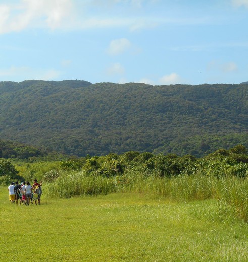 Iriomote-4a6ba35e(10)