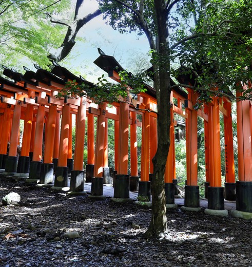 Duizenden torii-poorten in Kyoto, Japan