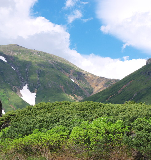 c957f6cf-5873-492b-89a3-81ac775d5f07