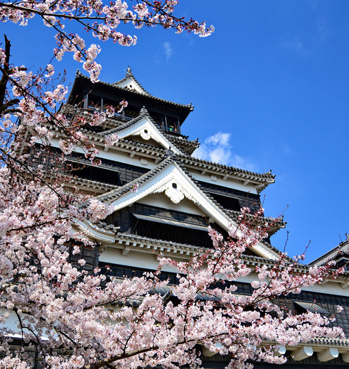 Japan-Fukuoka-Kasteel