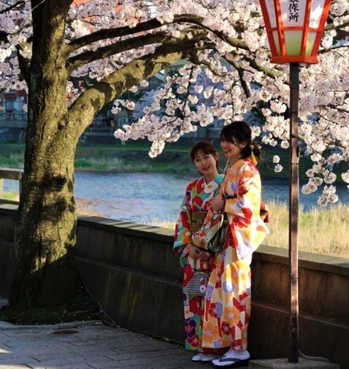 Japanse vrouwen bij de kersenbloesem in Kanazawa