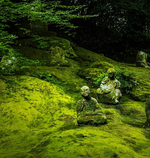 Japan-Kumamoto-Beelden_1_471702
