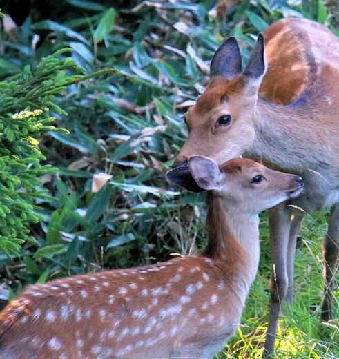 71054222-678f-4739-a5c8-6fa07302be1a