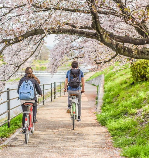 Fietsen bij Kyoto, Japan
