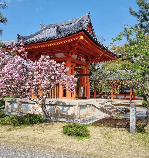Op reis in Kyoto, Japan