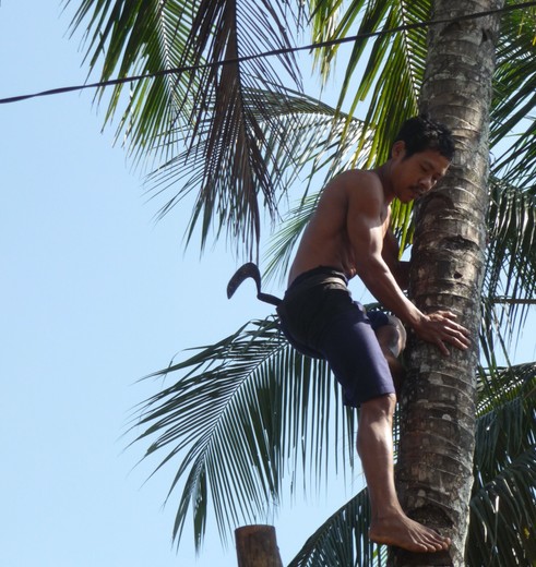 Java-Baturaden-de boom in_1