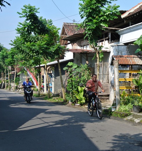 Java-Blitar-straatje met fietser