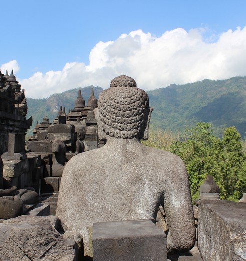 Java-Borobudur-buddha, stupas en landschap_2