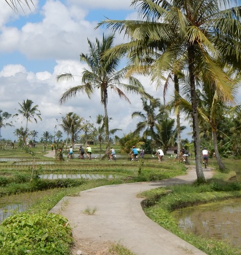 Java-Jogyakarta-fietsen-2