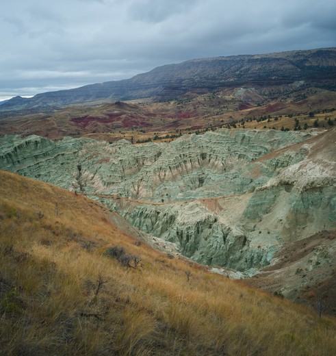 Groene heuvels in John Day Fossil Beds National Monument, USA