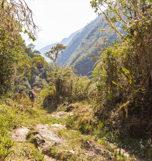 Jungle-El-Choro-Trekking-Bolivia