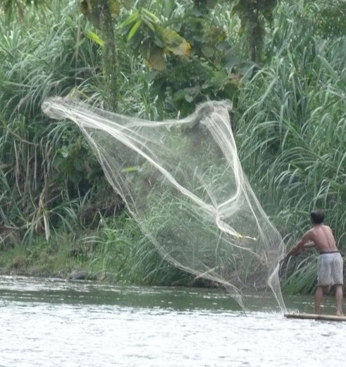 Kalimantan-Loksado-visser(8)