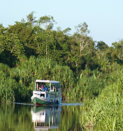 Varend door Tanjung Puting NP kun je orang oetans spotten, Kalimantan, Indonesië