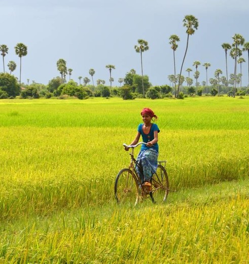 Local die fietst in Cambodja