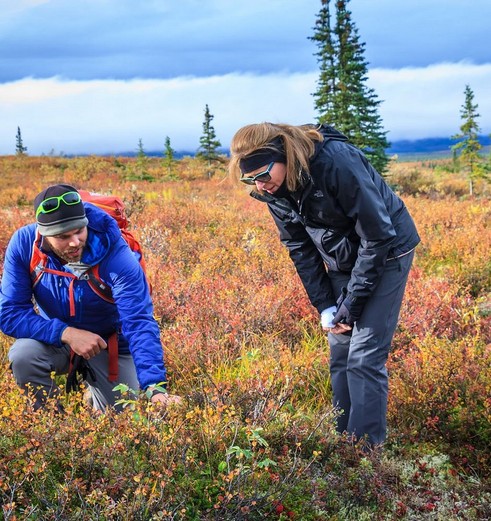Met een gids op pad bij Kantishna Roadhouse, Alaska
